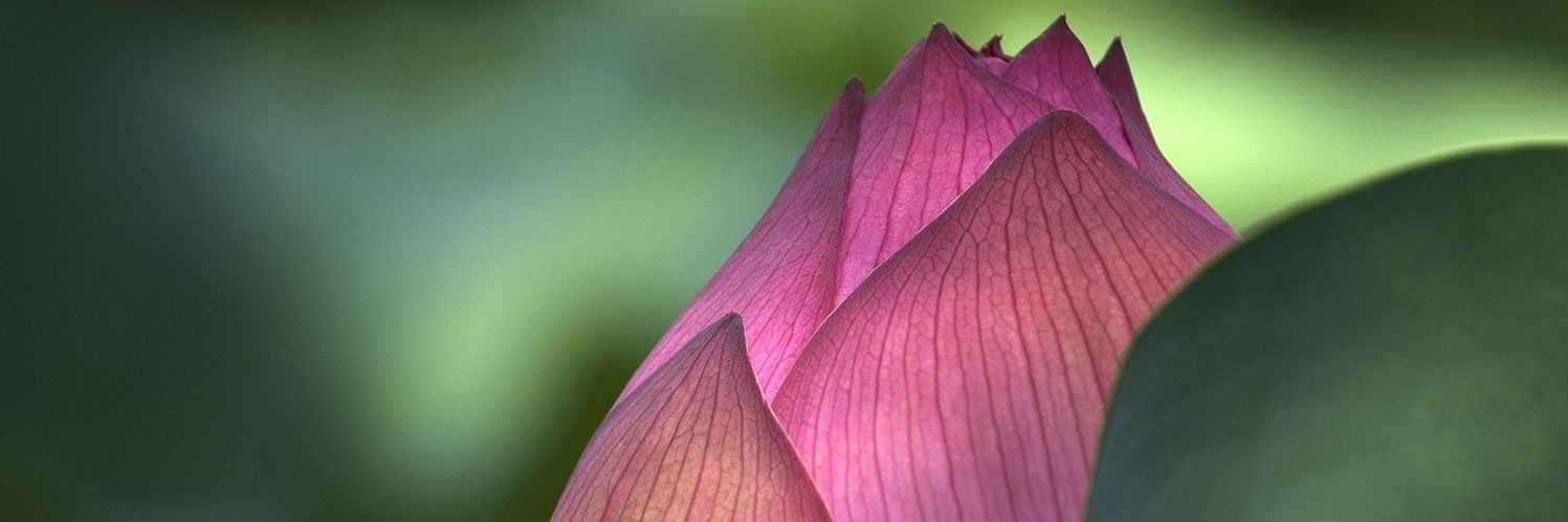 AlbertoMiazza's profile banner image