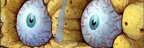 Coochy Connoisseur banner
