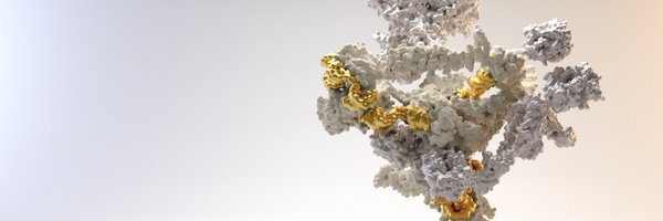 maxewilkinson Profile Banner