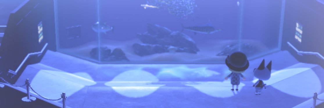 misocco0222's profile banner image
