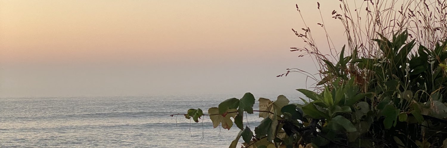 idklyanne's profile banner image
