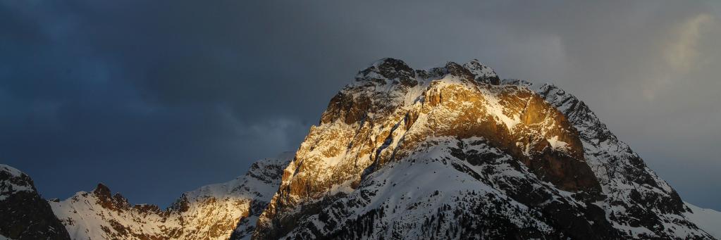 tragophil's profile banner image