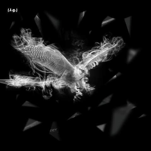 Lewbert5's profile banner image
