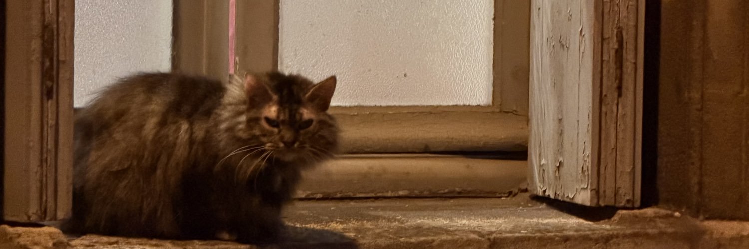 raevenchase's profile banner image
