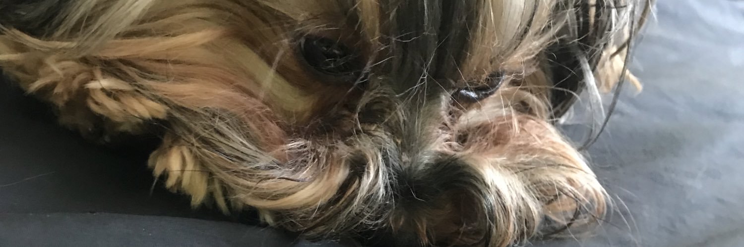 ItaDary's profile banner image