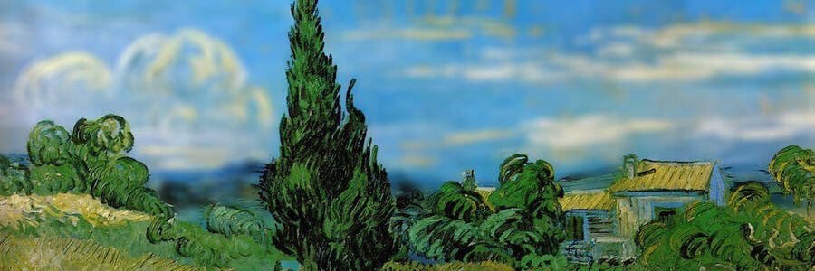 madiaguiar's profile banner image