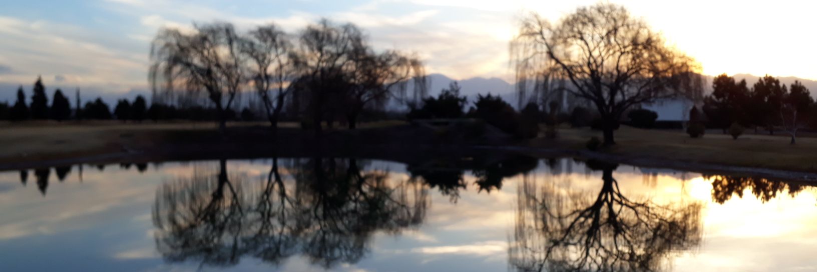 MorettiGrace's profile banner image