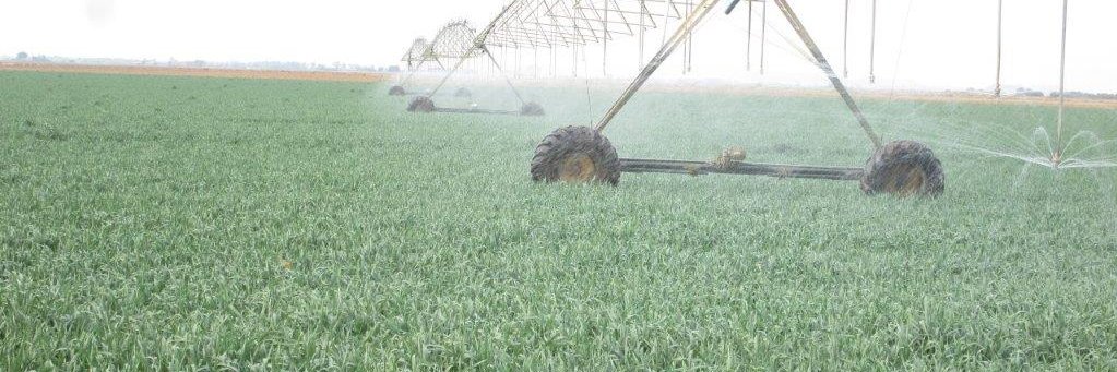 @TrueNorthValuers banner