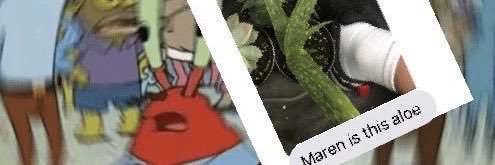 flymiamibro22_'s profile banner image