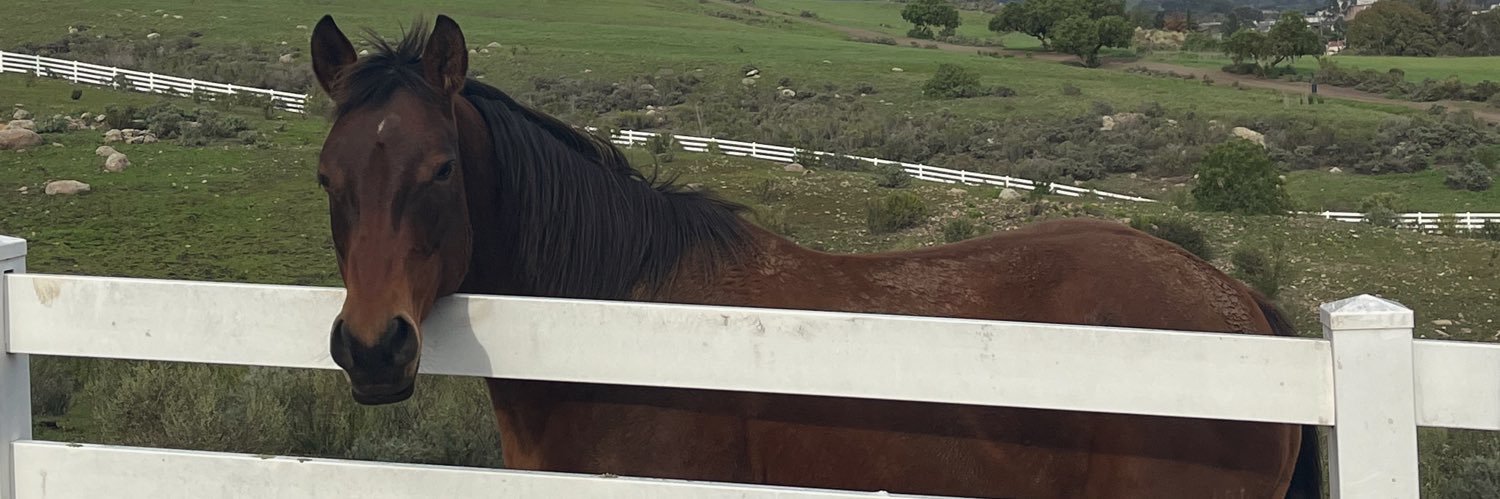desertravyn's profile banner image