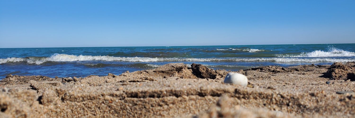 wolfblue031's profile banner image