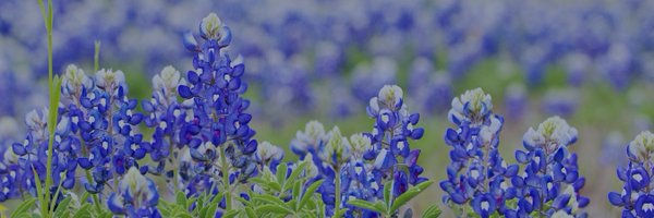 Juliabmcd Profile Banner