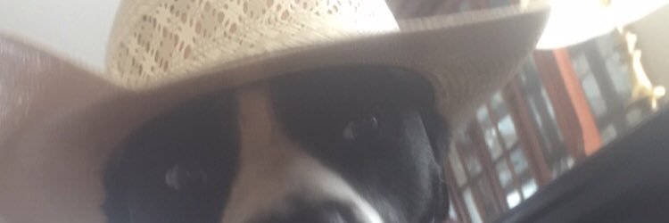 Jared Vallilee banner