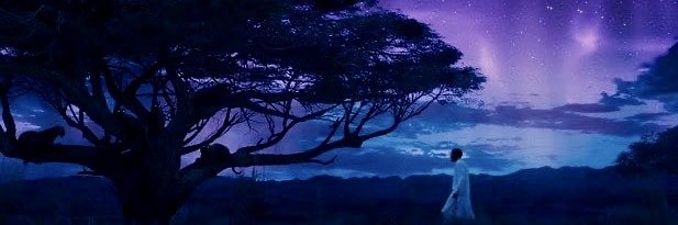 Brandon Simmons banner