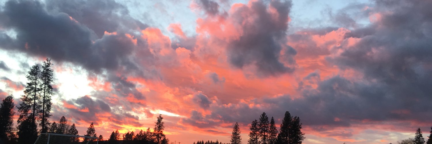 sarabolves's profile banner image