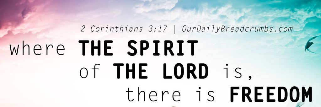 🍃🕊 ConQuest 🦅🍃 banner