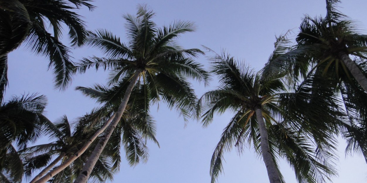 ericsonlopez_'s profile banner image