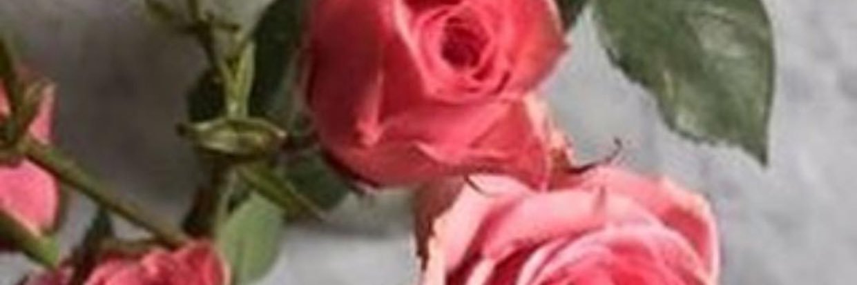 منيرھَہّ ﭑلشمرېَ 🇸🇦👑 banner