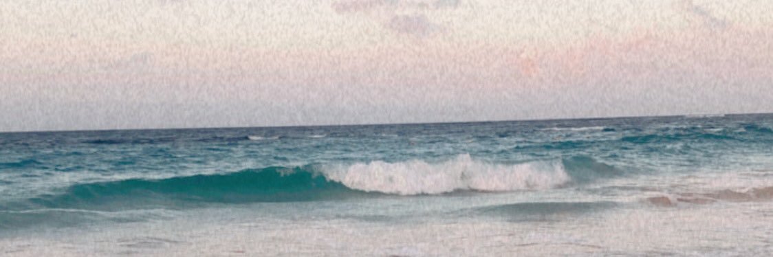 Paloma P banner