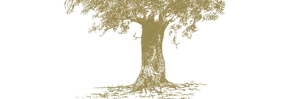 Strippaggio's profile banner image