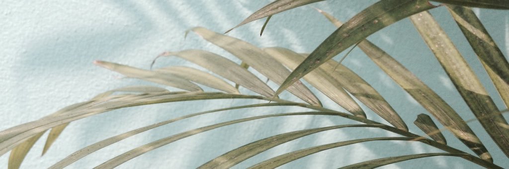 Indɑh septiɑni banner