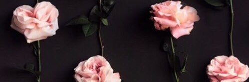 riri banner