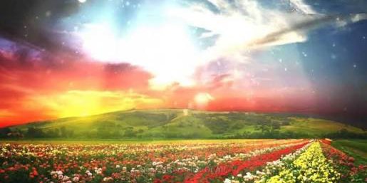 obethbayu's profile banner image