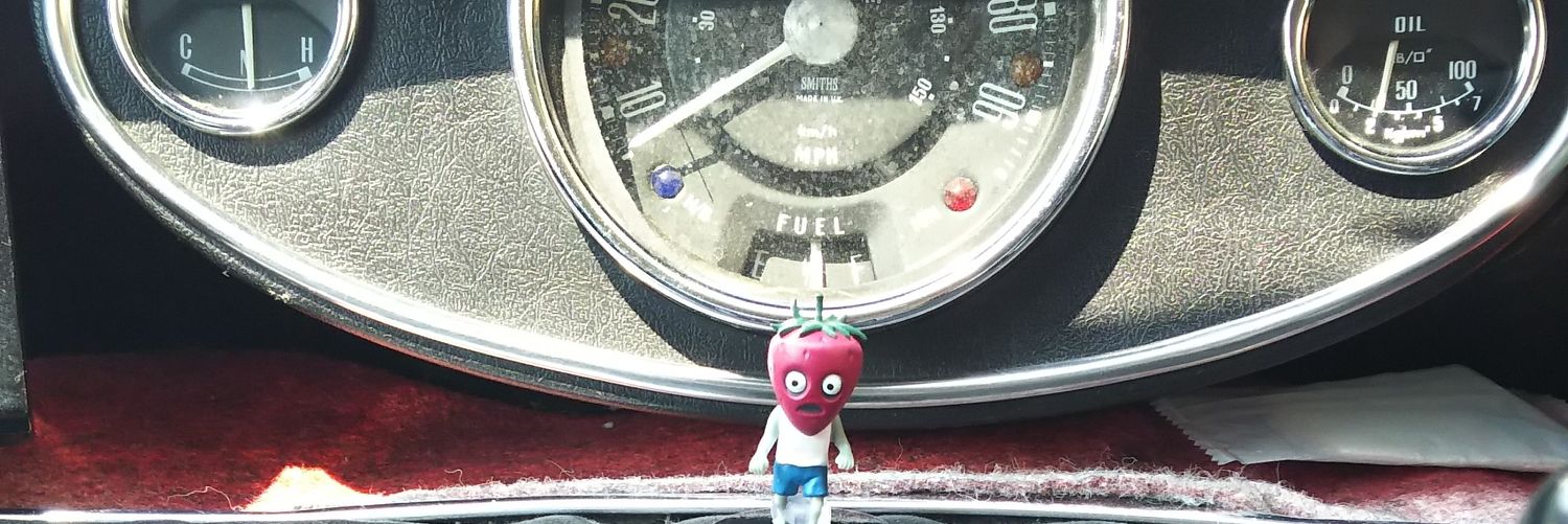 E99XinsideMint's profile banner image