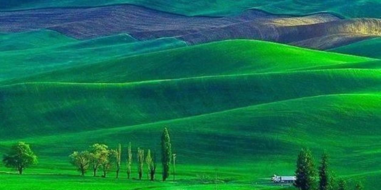 Martha Chópite Aza banner