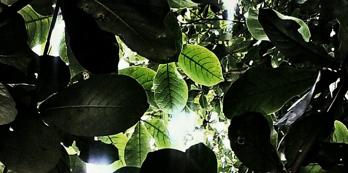 hendra_101's profile banner image