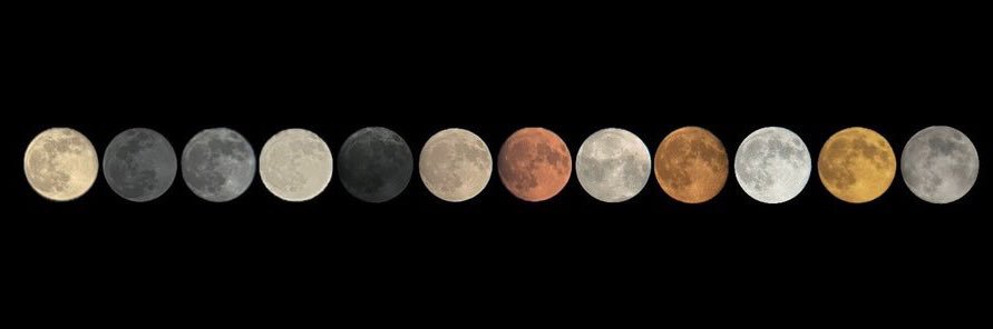 Marianarj_'s profile banner image