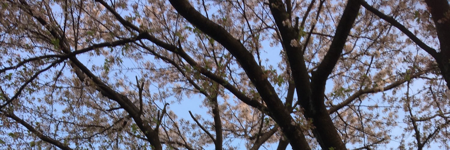 Twitter banner for @hqlgw