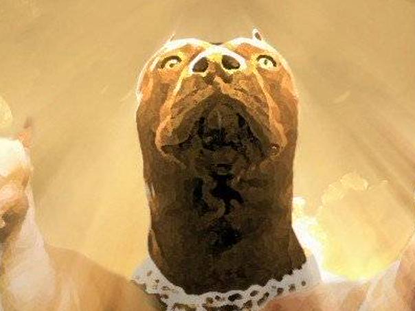 Avilacarri's profile banner image
