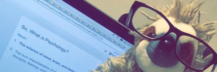 SarahRoth23's profile banner image