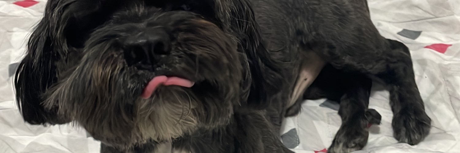 bigmulinari's profile banner image
