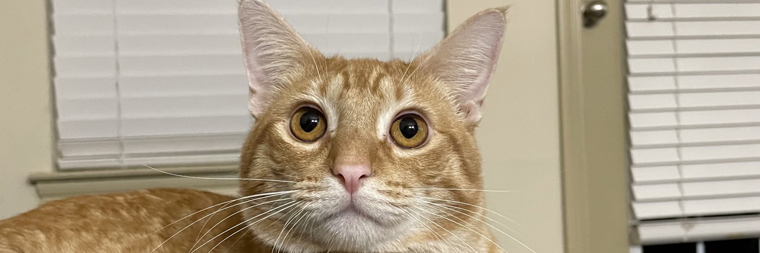 RChapa_5's profile banner image