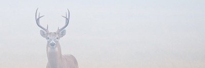 ruggedandreel's profile banner image