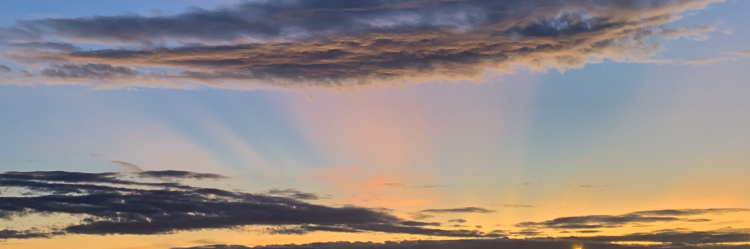 saoonyaa's profile banner image