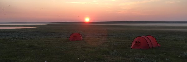 TimoKumpula1 Profile Banner