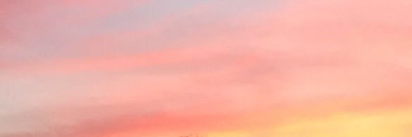 linazzz26's profile banner image