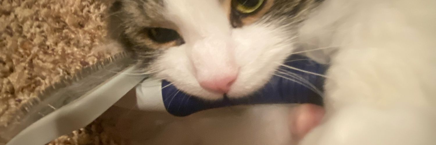 Aaron Friction banner