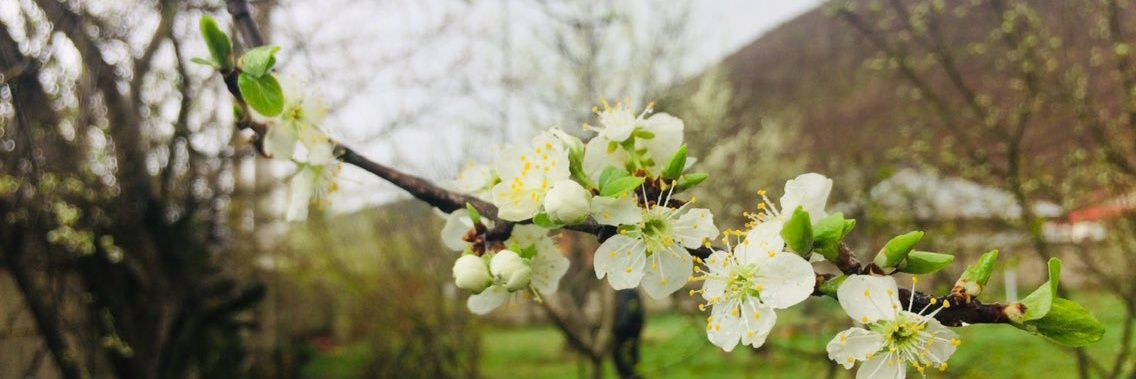 اینجا کسی‌ست پنهان banner
