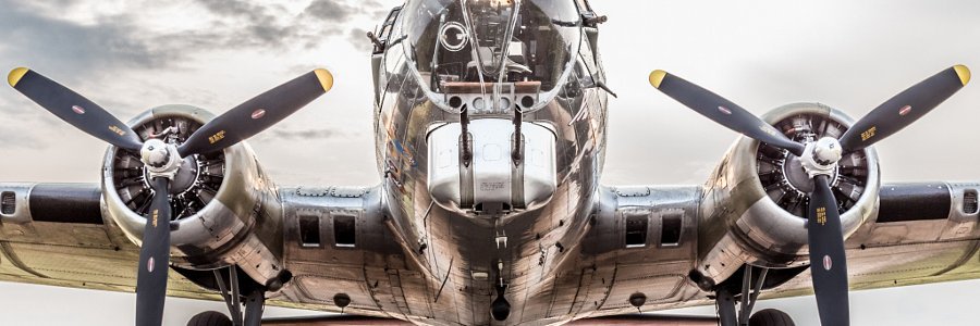 David MacLaren banner