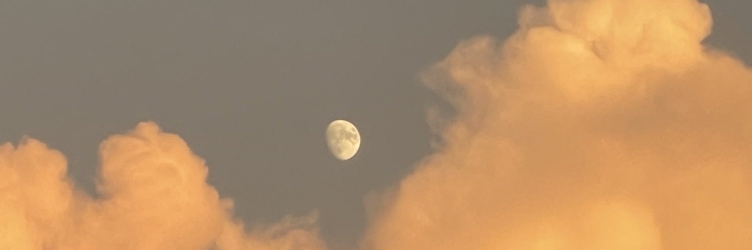 steezyrawool's profile banner image