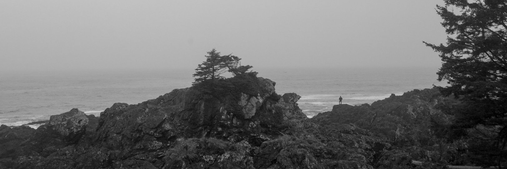 Leandro Siqueira banner