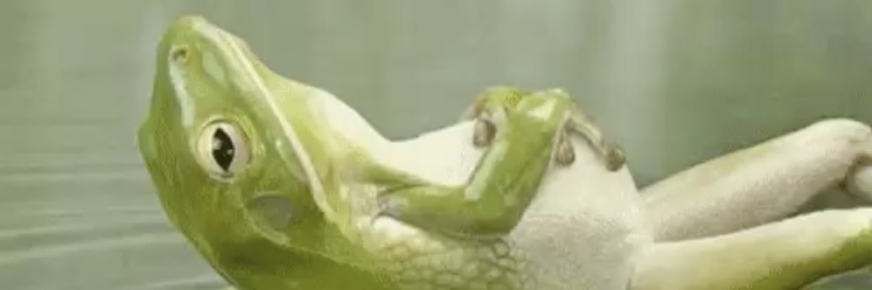leediesel23's profile banner image
