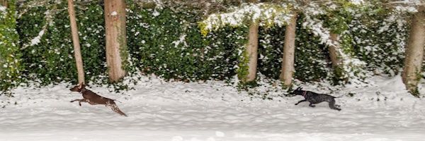 Kat__Scan's profile banner image