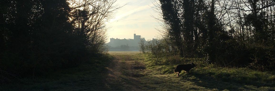 Blake Lindsey banner