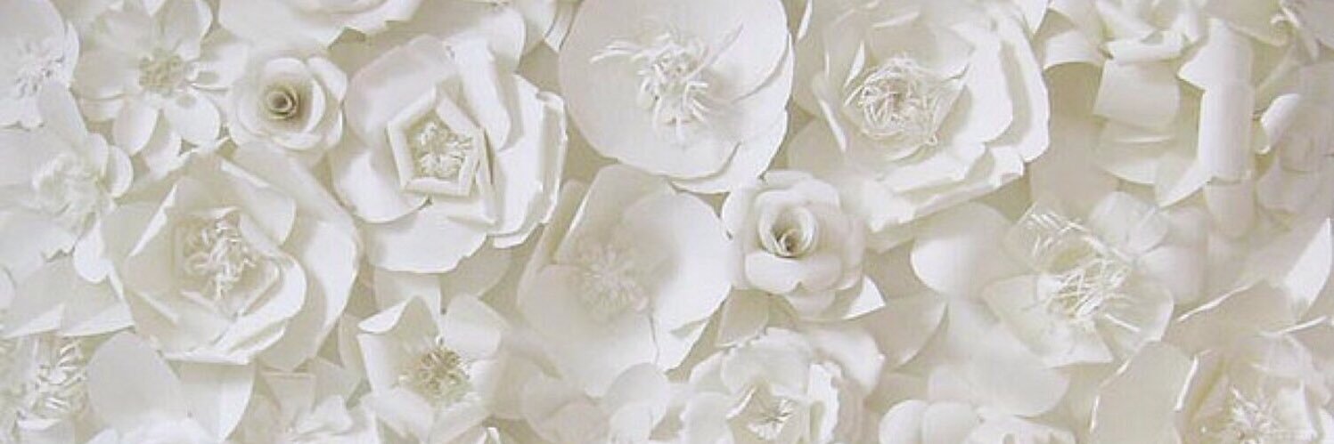 LixCiious's profile banner image