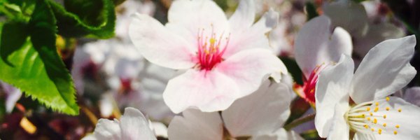 taysinnyee Profile Banner